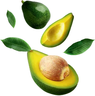 opakowania-z-nadrukiem-color-print-avocado